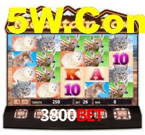 3800Bet Login