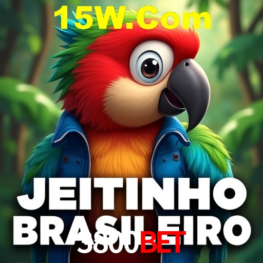 A Experiência Imersiva dos Cassinos Ao Vivo no 3800Bet
